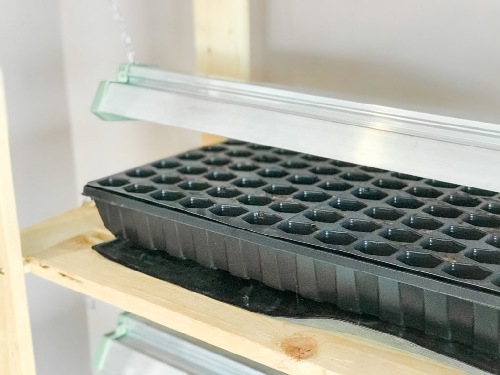 grow lights for seedlings