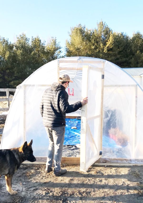 diy polytunnel greenhouse