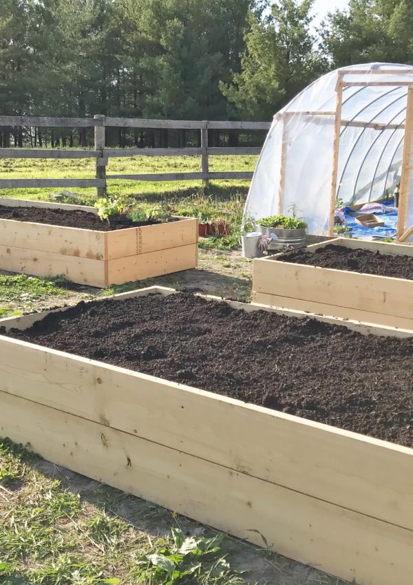 DIY Raised Garden Beds – Super Easy!