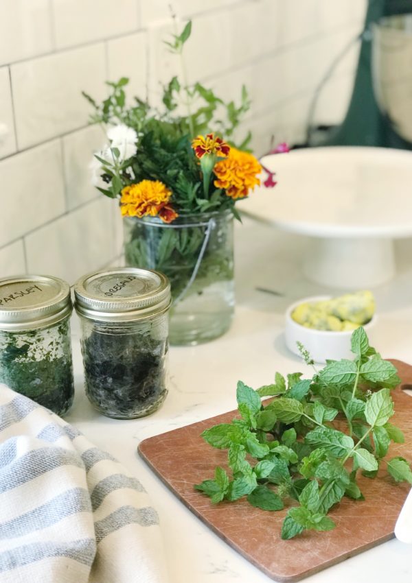 Abundance of Herbs? Here’s the Best 7 Ways to Preserve Herbs