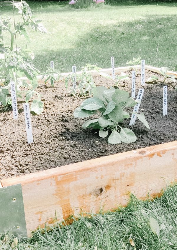 What I learned about the square foot garden method