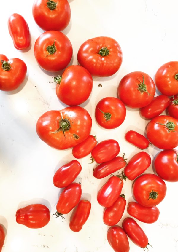 The Very Best Fresh Tomato Sauce Recipe You’ll Ever Taste