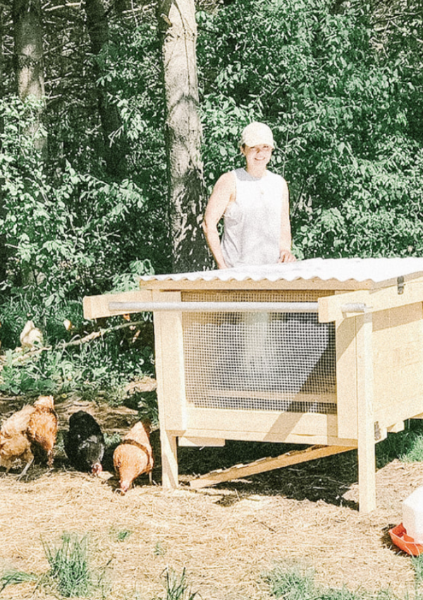 5 Reasons You Should Build a Mobile Chicken Tractor