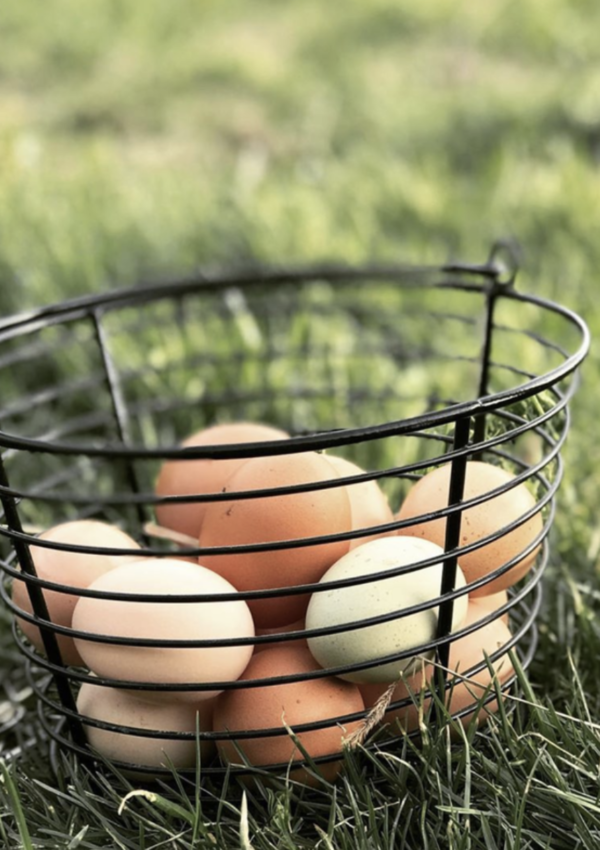 My 12 Favourite Ways to Use Excess Eggs on the Homestead