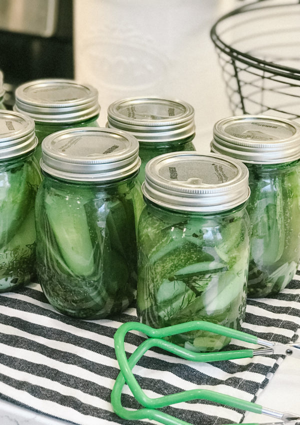 how to make garlic dill pickles