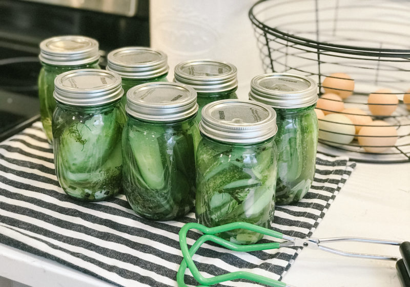How To Make Easy Garlic Dill Pickles – 2 Ways