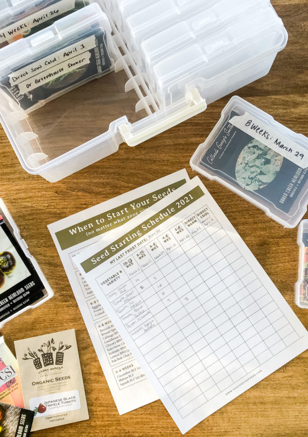diy seed organization and seed starting schedule printable
