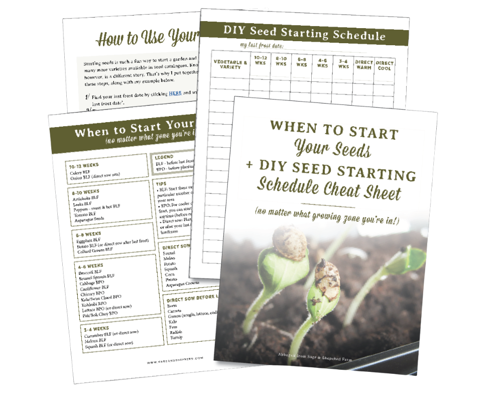 seed starting schedule printable