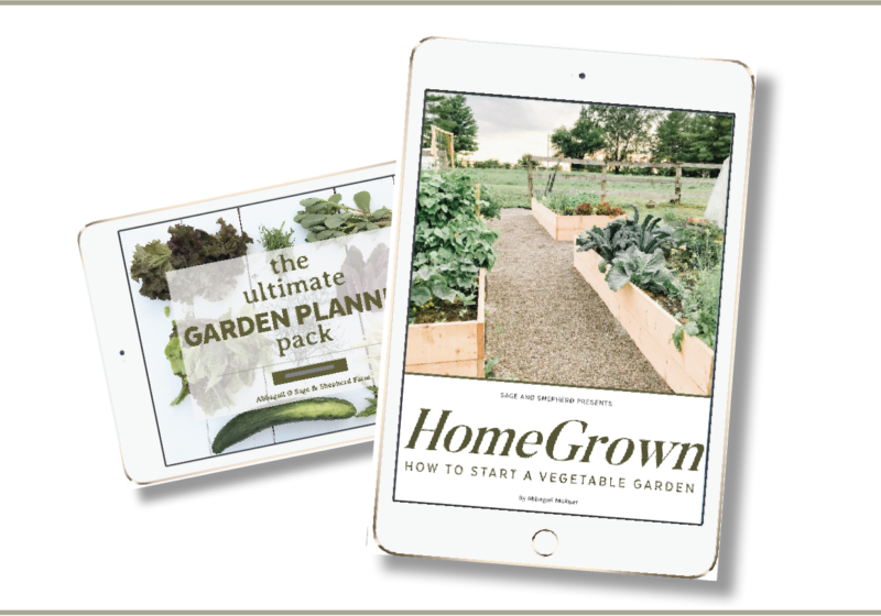 how to start a vegetable garden ebook