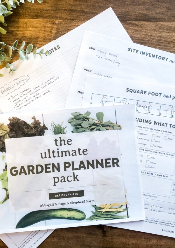 Vegetable Garden Planning For Beginners: Step-by-Step