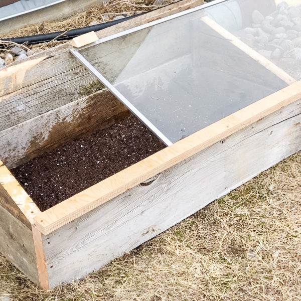 What Is a Cold Frame and How Does it Work?  Everything You Need to Know!