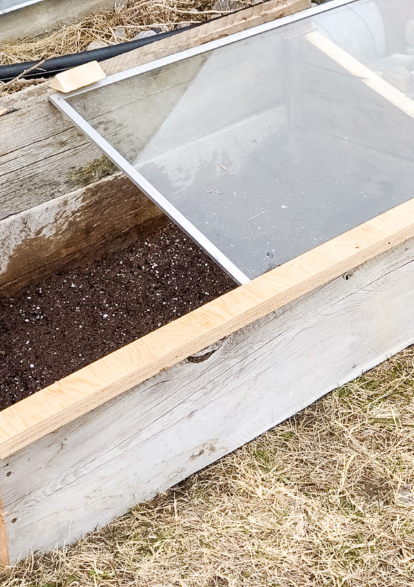 what is a cold frame