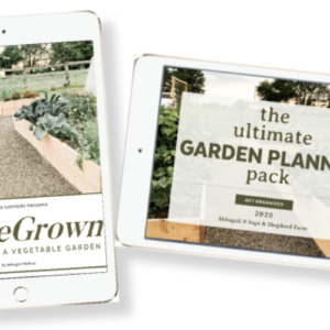 how to start a vegetable garden and garden planner