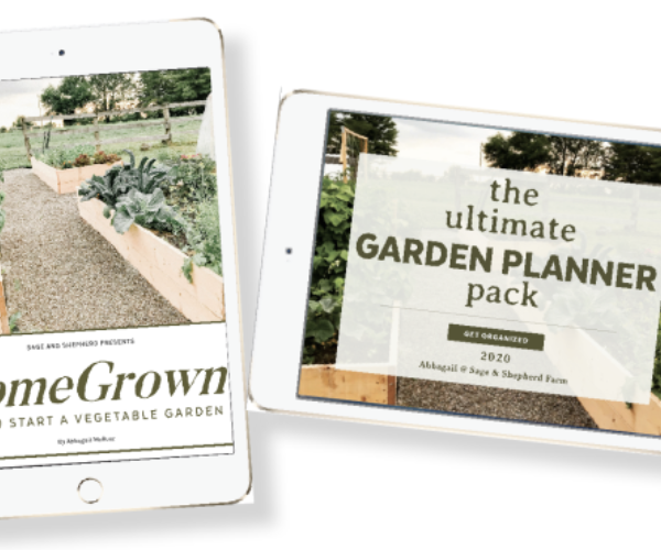 how to start a vegetable garden and garden planner