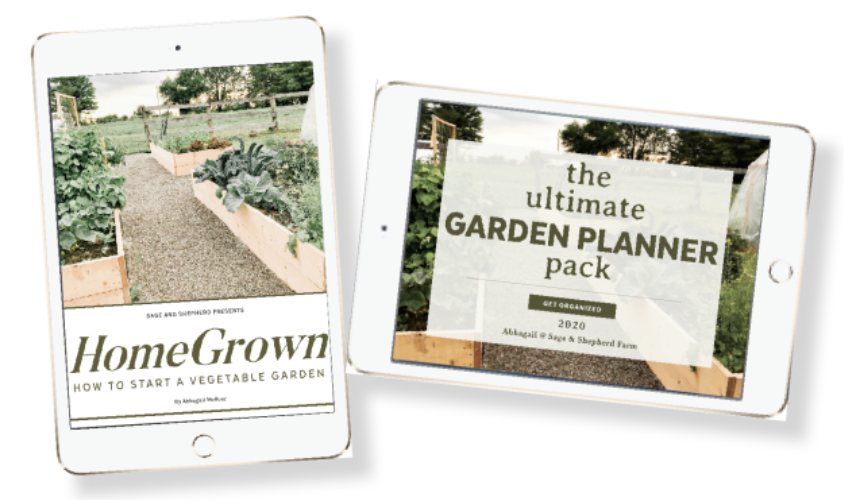 how to start a vegetable garden and garden planner